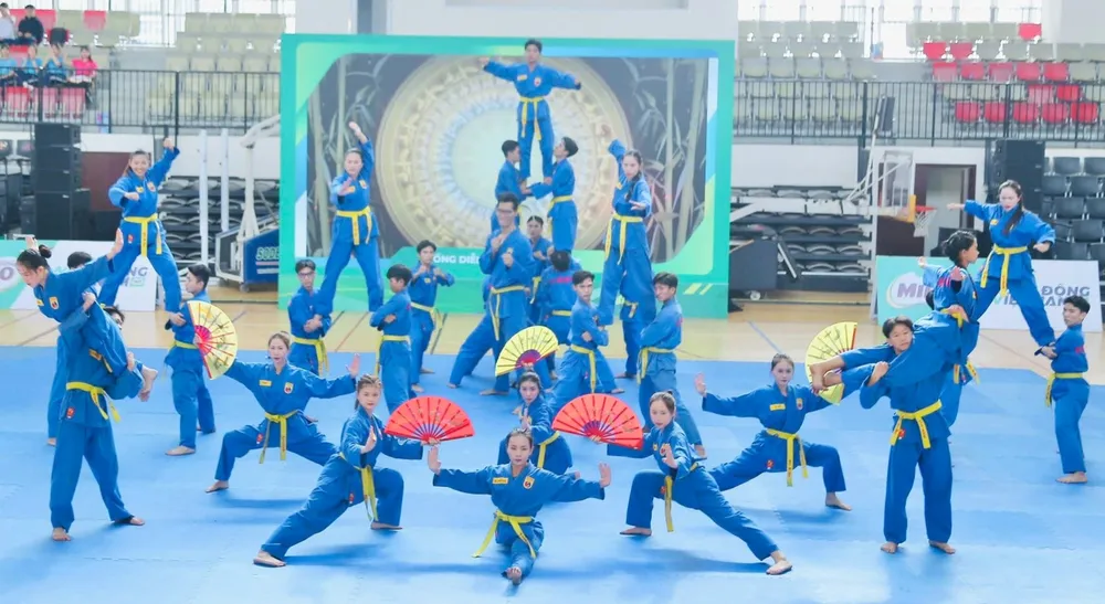 Màn trình diễn Vovinam tại chương trình. Ảnh: THANH TÙNG 