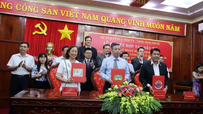 Bình Phước: Hợp tác với Hà Lan phát triển nông nghiệp công nghệ cao ảnh 1