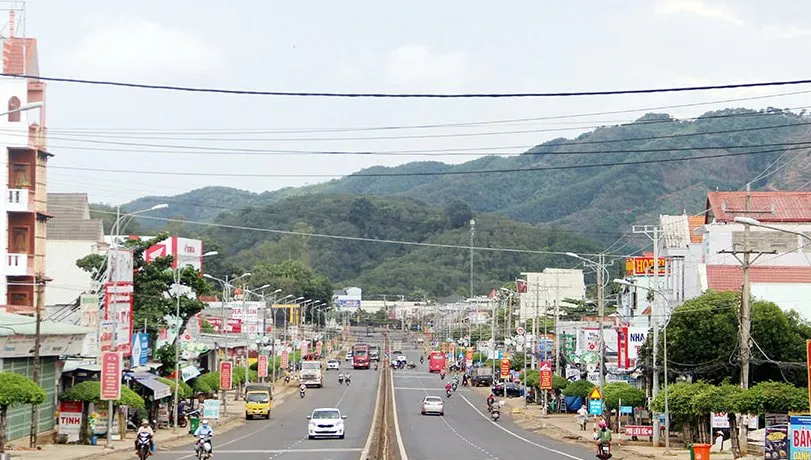 Bình Phước phản hồi thông tin hàng chục tấn rau cứu trợ không thể về TPHCM ảnh 1