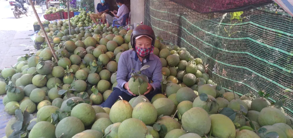 Giá bưởi Tân Triều tăng, hút hàng trên thị trường ảnh 6