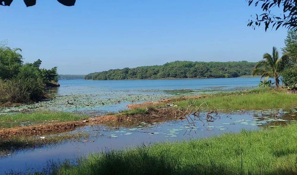 Đi bắt ốc, hai bé gái ở Bình Phước bị đuối nước thương tâm ảnh 1