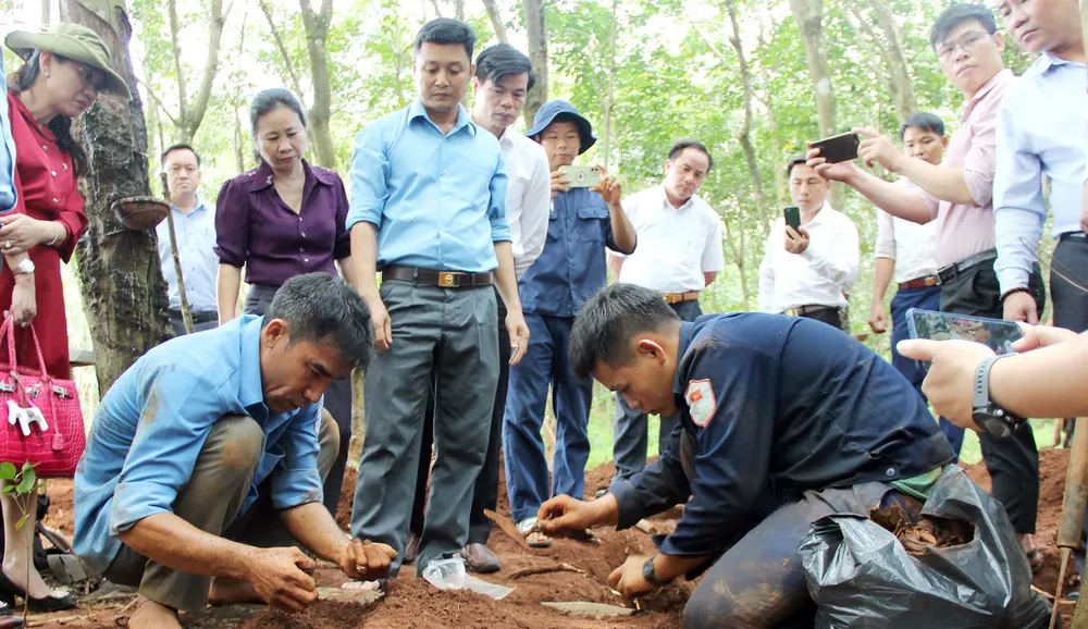 Bình Phước: Đội K72 tìm kiếm, quy tập được 3 bộ hài cốt liệt sĩ trong lô cao su ảnh 1