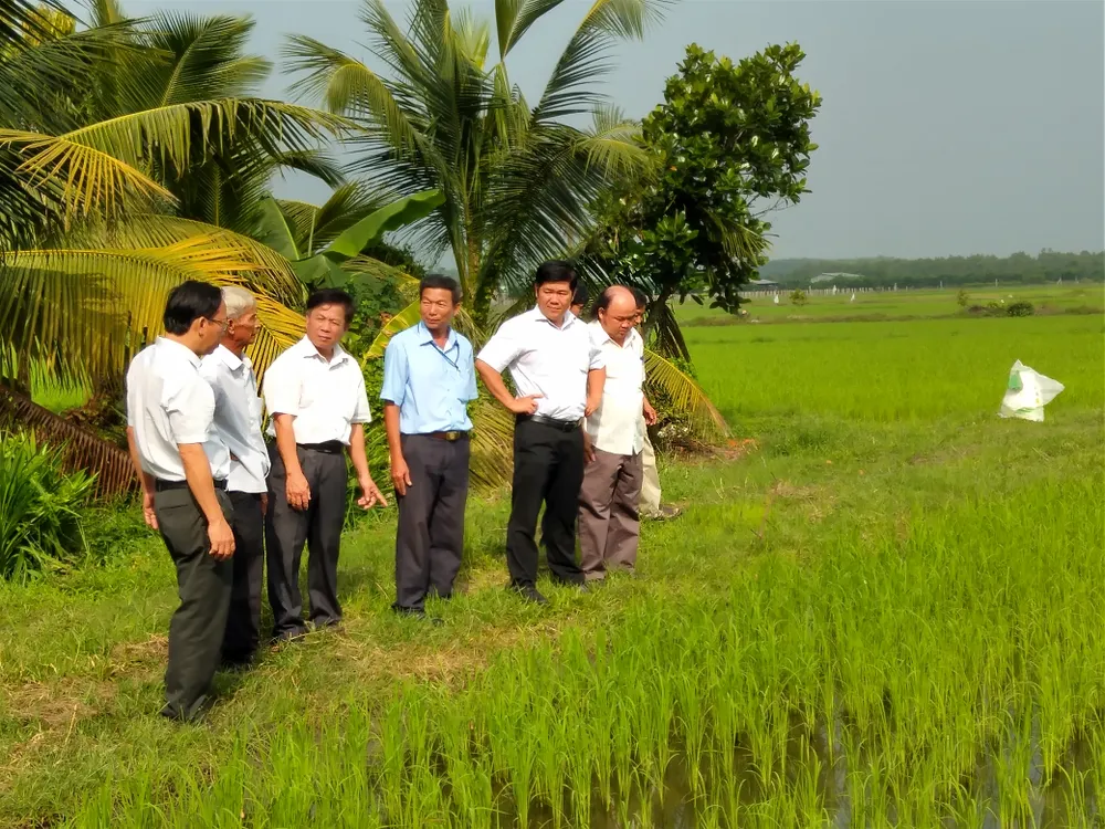 Giải pháp phát triển nông nghiệp Tây Ninh ảnh 2