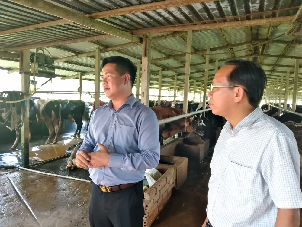 Giải pháp phát triển nông nghiệp Tây Ninh ảnh 3