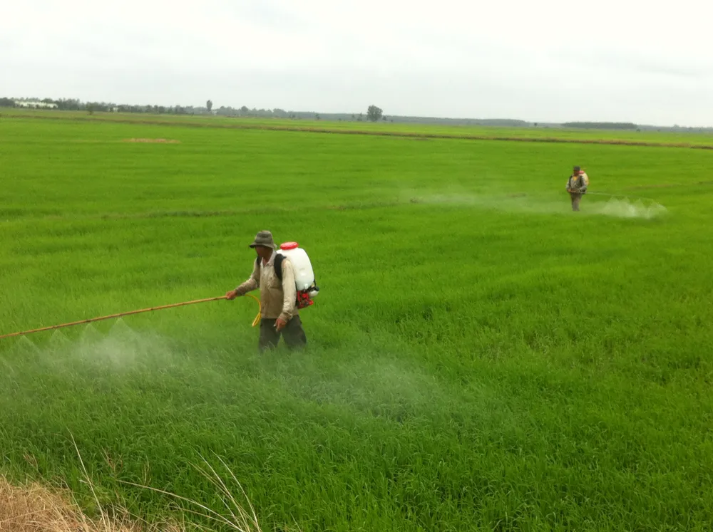 Giải pháp phát triển nông nghiệp Tây Ninh ảnh 1