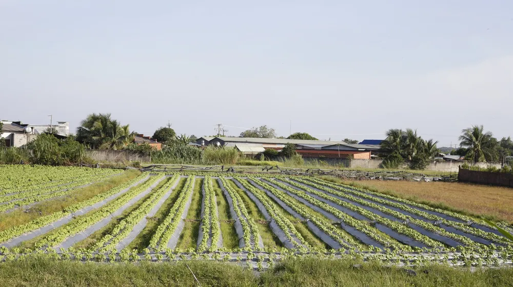 Tây Ninh nâng chất xây dựng nông thôn mới ảnh 1