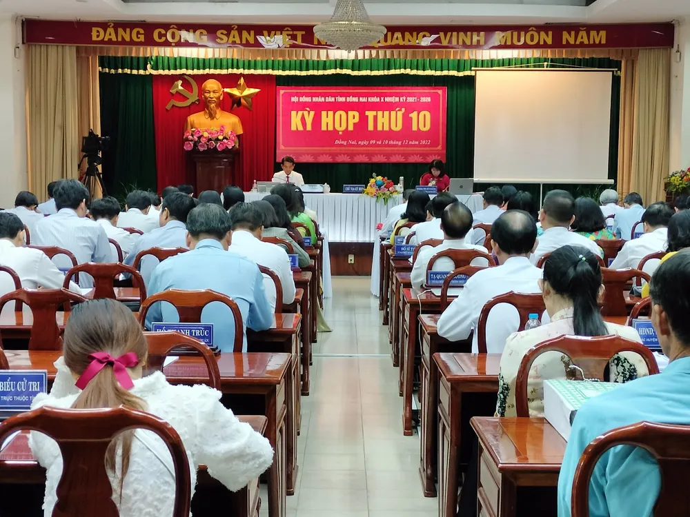 Đồng Nai: “Mổ xẻ” 4 vấn đề cử tri quan tâm  ​ ảnh 1