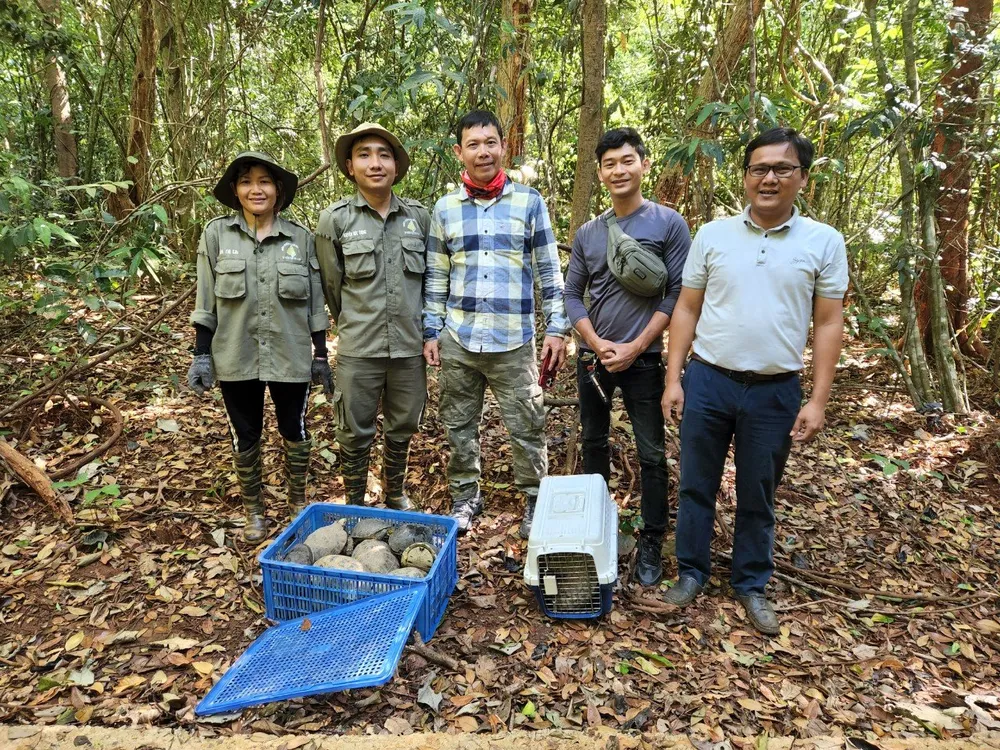 Lực lượng chức năng thả thú về rừng