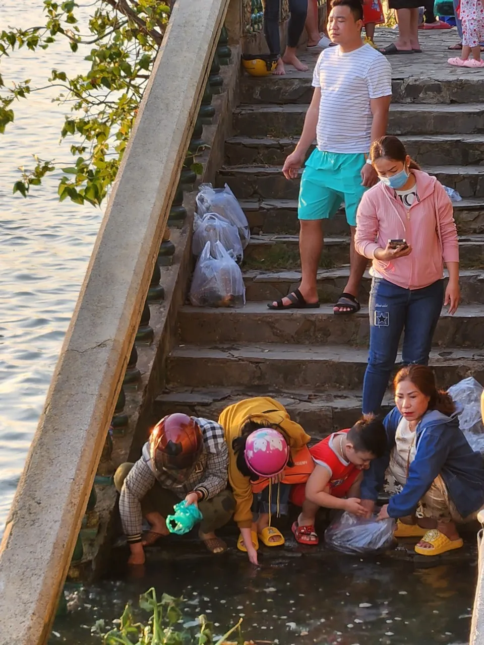 Việc thả cá phóng sinh vừa là giáo dục tình yêu thiên nhiên