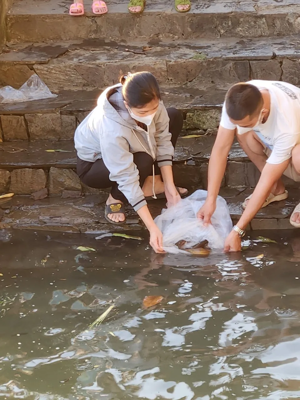 Người dân TP Biên Hoà thả cá phóng sinh