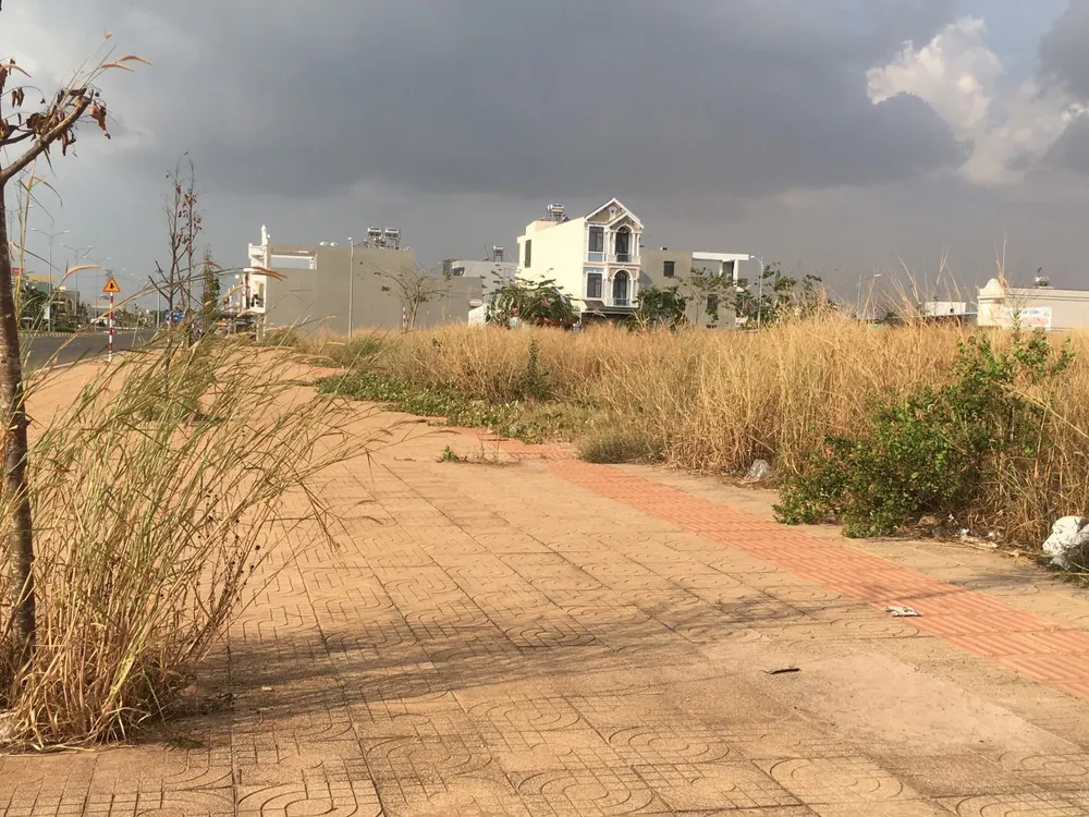 Nhiều đám cỏ khô rất dễ bén lửa tại phường Long Bình Tân, TP Biên Hoà