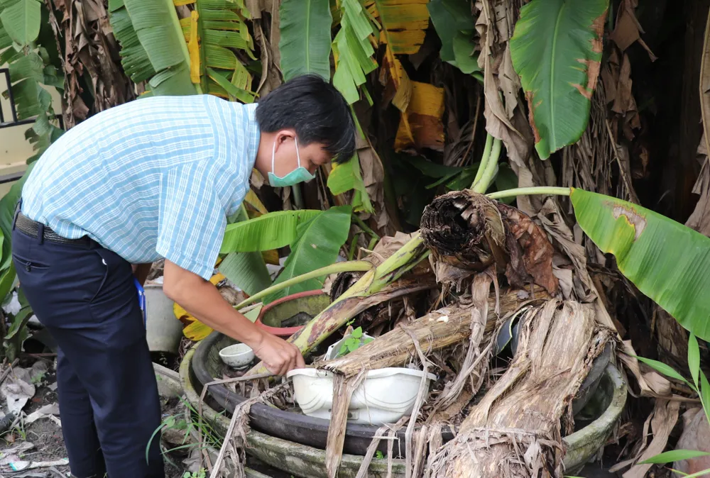 Kiểm tra lăng quang