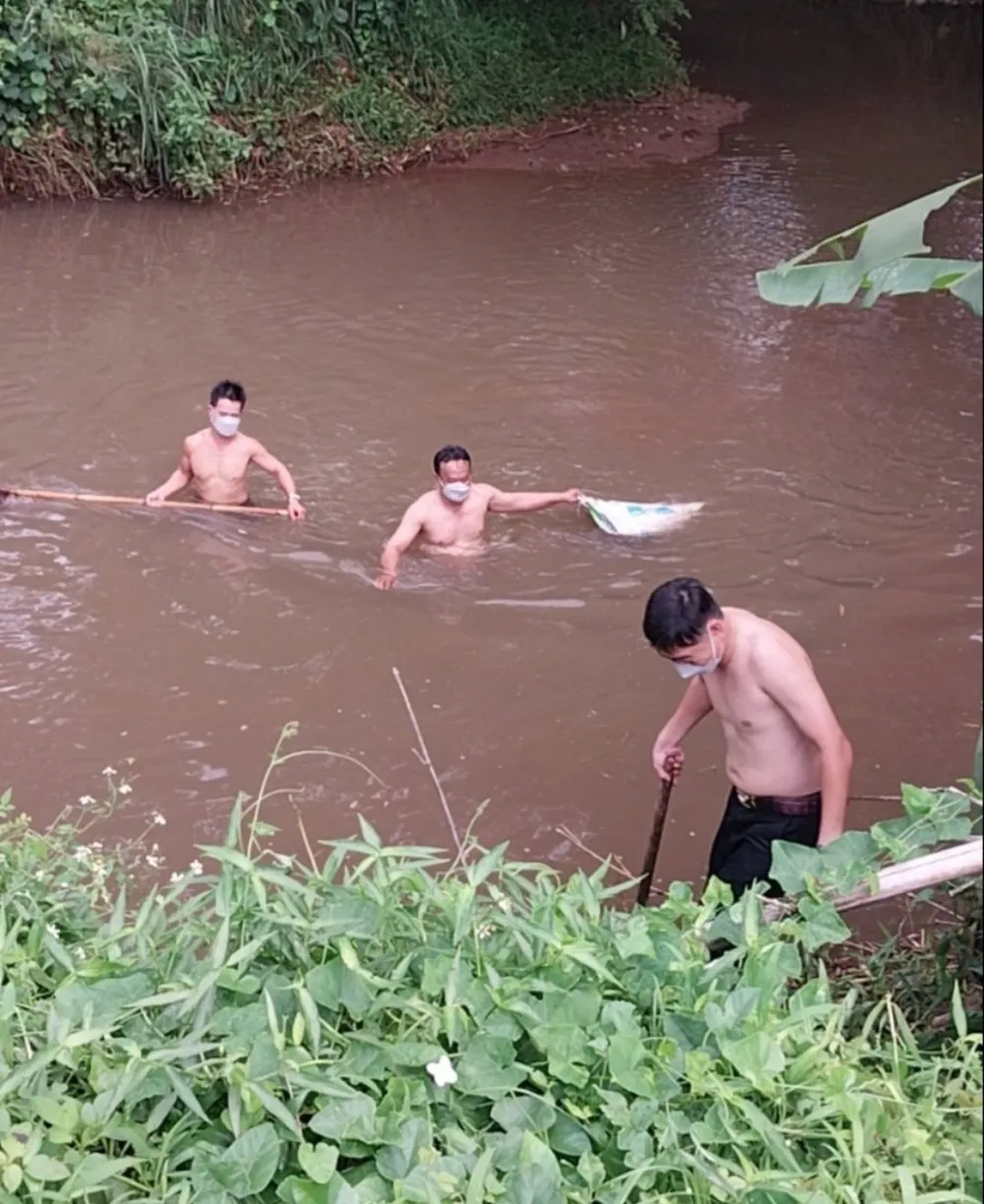 Lực lượng chức năng vớt heo chết đưa lên bờ