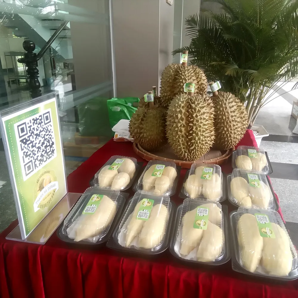 Sầu riêng được trưng bày ở gian hàng Sầu riêng được trưng bày ở gian hàng