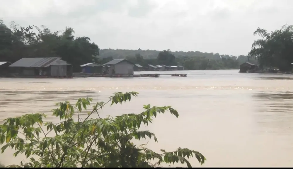 Nước lũ dâng cao ở một nhánh của sông La Ngà (huyện Định Quán)