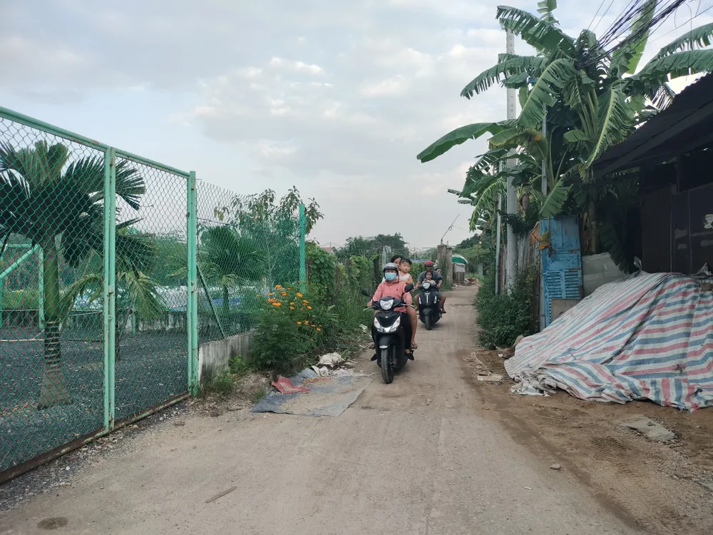 Người dân tổ 10, phường Tam Hiệp (TP Biên Hoà) phải dùng nước giếng khoan, giếng đào nhiễm phèn nặng và mua điện với giá của các hộ dân ở khu dân cư bên cạnh để sinh hoạt