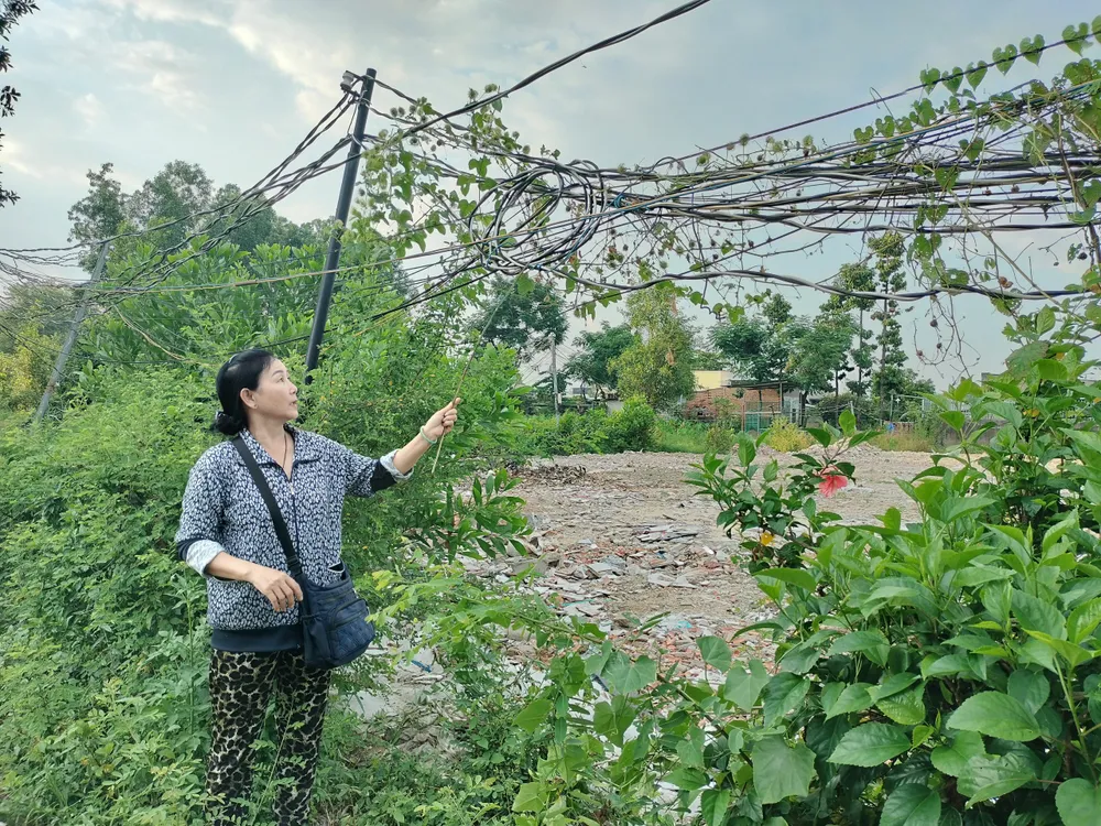 Bà Đinh Thị Cẩm Nhung, tổ trưởng tổ 10, khu phố 2 (phường Tam Hiệp) bức xúc vì hàng chục năm nay, gia đình bà và các hộ dân phải kéo điện nhờ