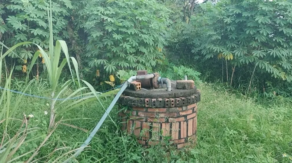 Giếng đào được gia đình ông Tây và nhiều hộ dân sử dụng nhiều năm nay, nhưng nhiễm phèn nặng, chỉ tắm giặt, còn ăn uống phải mua nước bình