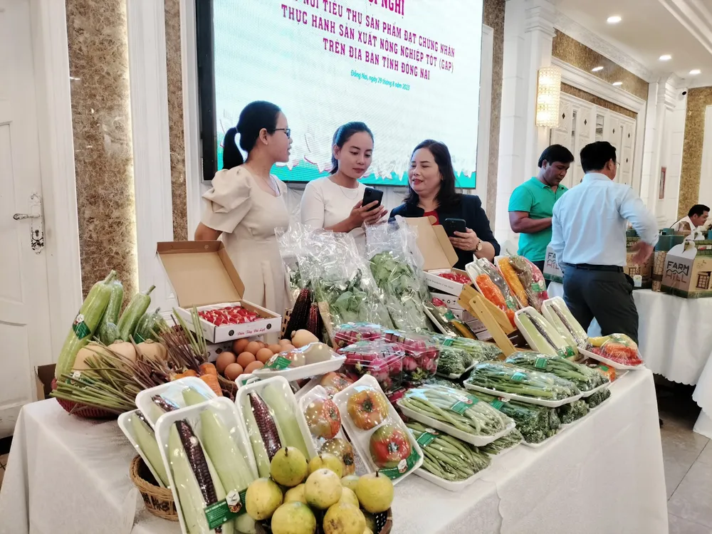 Nhiều sản phẩm nông nghiệp đạt chứng nhận GAP của tỉnh Đồng Nai đang được đẩy mạnh quảng bá, bán ra thị trường Nhiều sản phẩm nông nghiệp đạt chứng nhận GAP của tỉnh Đồng Nai đang được đẩy mạnh quảng bá, bán ra thị trường