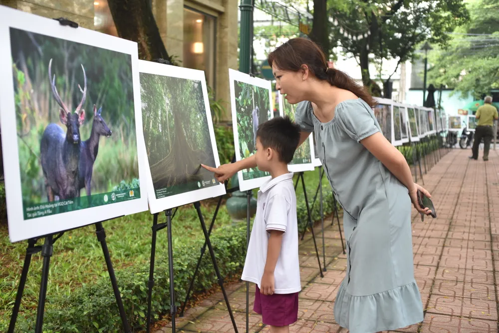 Người dân TP Biên Hòa đưa trẻ em đến tham quan triển lãm, giáo dục tình yêu thiên nhiên Người dân TP Biên Hòa đưa trẻ em đến tham quan triển lãm, giáo dục tình yêu thiên nhiên