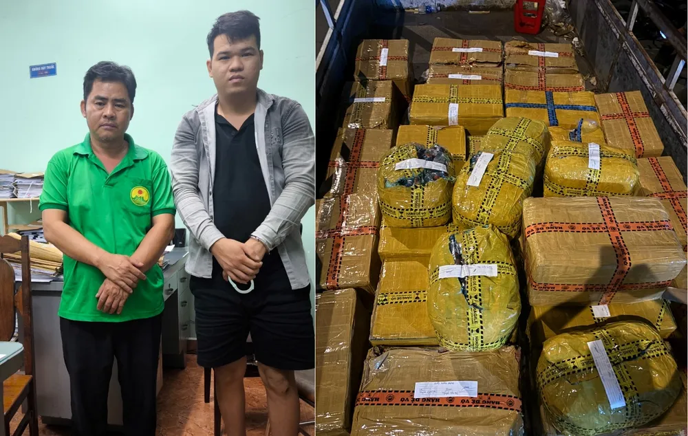 bat-phao-hoa-6777-4036jpg-1-3572.jfif