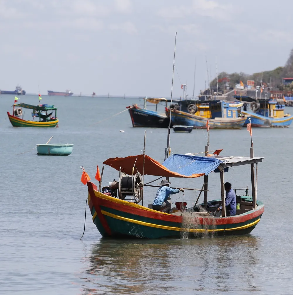 Ảnh 6 Du khách có thể quan sát ngư dân làng chài  trở về sau những chuyến đi biển.JPG