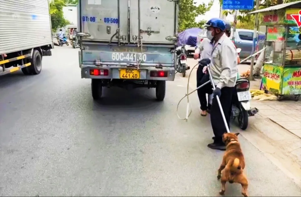 Bắt chó dại .jpg