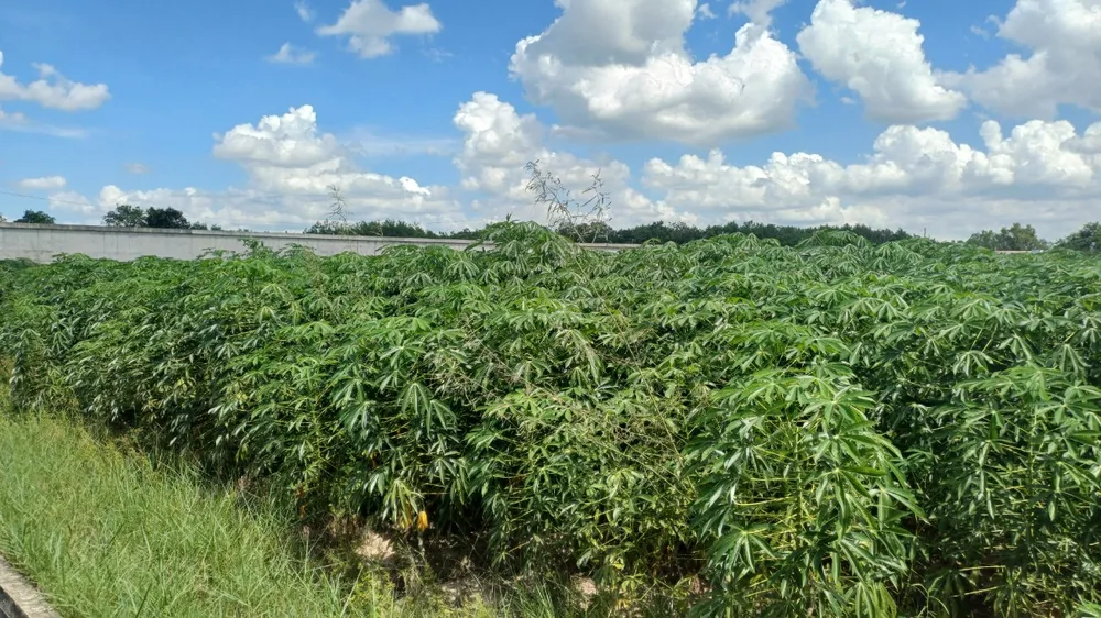 z5576192060603_bd1ccef1b82a7fd9461f4e8b1a811cb5 (1).jpg