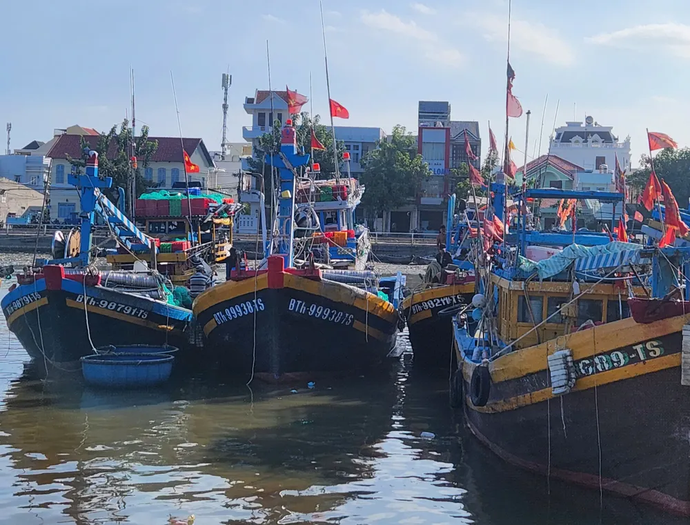 Ảnh 1 Đội tàu đánh bắt xa bờ hùng hậu của ngư dân Bình Thuận neo đậu trên bến sông Cả Ty.jpg