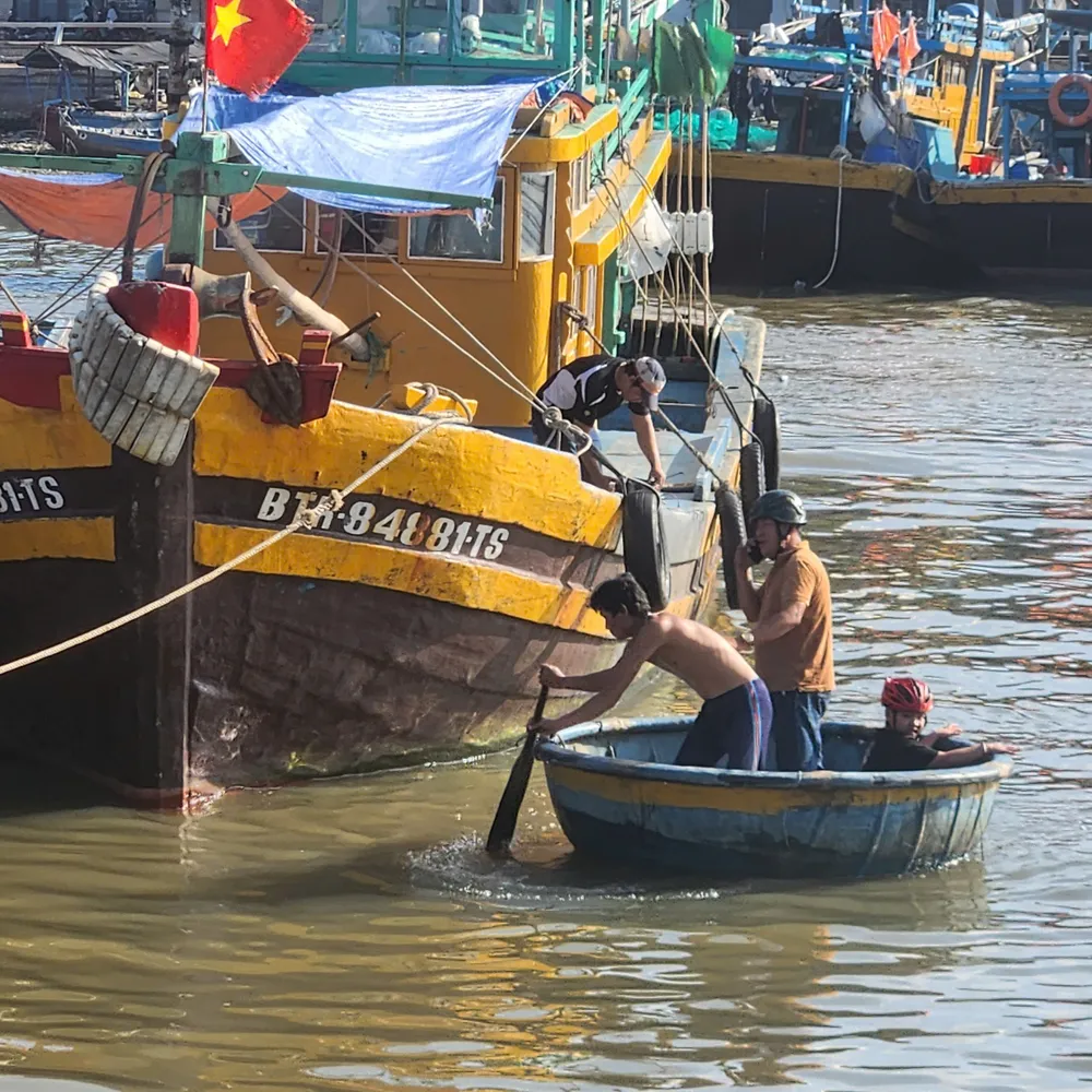 Ảnh 4 Thuyền thúng là phương tiện di chuyển chính từ thuyền lên bờ và ngược lại.jpg