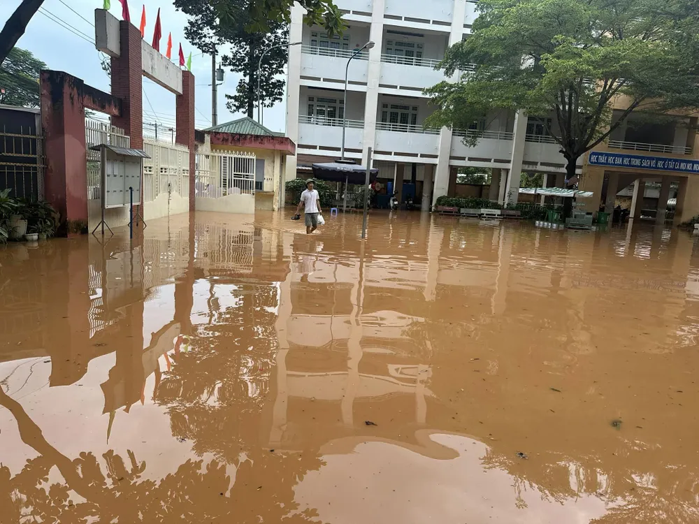 464008585_605328455154799_2880924232136572175_n (1).jpg