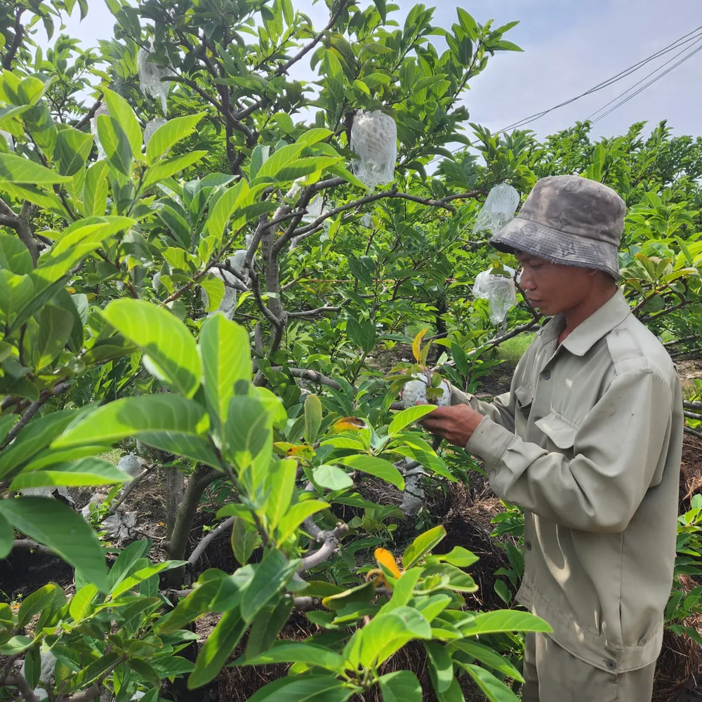 z5459594345590_05f6b1705e39be735bf95a8f94f69742 (1).jpg