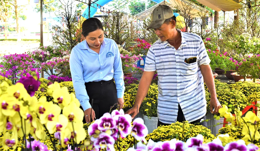 Du khách đến khu vực quảng trường thị xã Phước Long, tỉnh Bình Phước chọn mua hoa trưng tết, ảnh HOÀNG BẮC.jpg