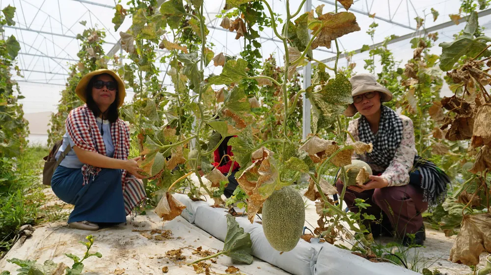 rải nghiệm du lịch nông thôn gắn với sản phẩm OCOP tại Tây Ninh.jpg
