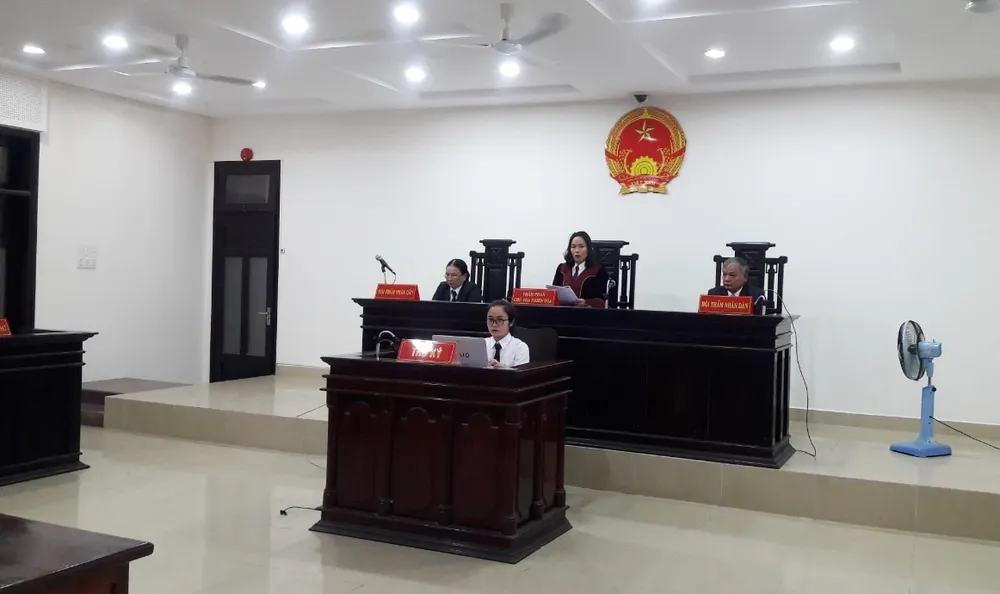 Công ty Vipico thắng kiện UBND TP Đà Nẵng vụ thu hồi lô đất đã đấu giá ảnh 1