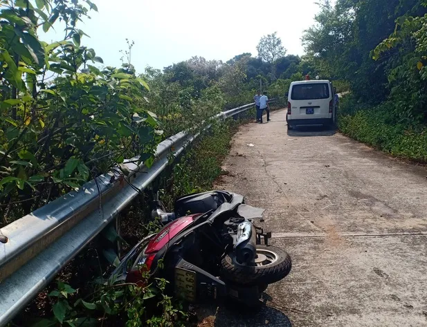Đà Nẵng đưa ra phương án đảm bảo an toàn khi tham quan tại bán đảo Sơn Trà ảnh 1