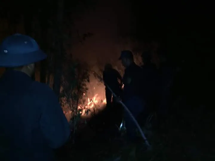 Huy động gần 700 người tham gia dập tắt vụ cháy rừng ở Đà Nẵng ảnh 2