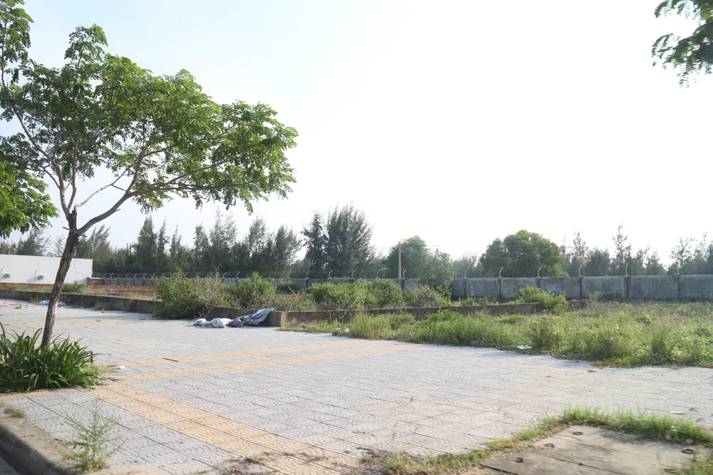 Đà Nẵng kiên quyết xử lý sai phạm tại dự án Tổ hợp Mường Thanh ảnh 5