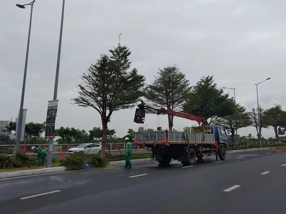 Đà Nẵng ráo riết chuẩn bị phòng bão số 5 ảnh 8