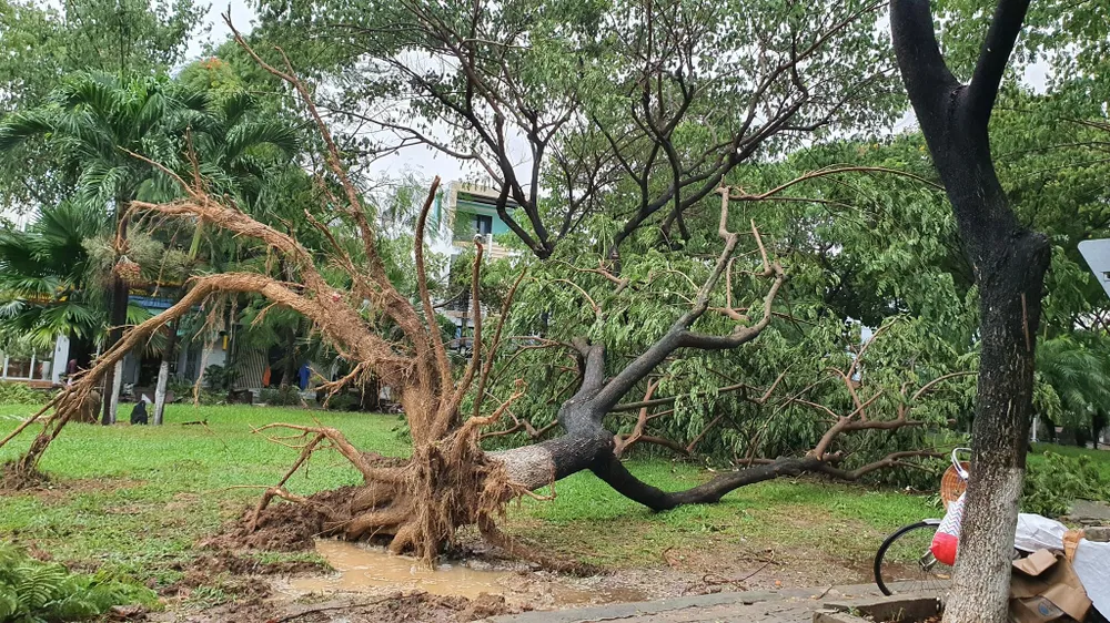 Bão số 5 gây lốc xoáy và mưa lớn nhiều nơi ảnh 19