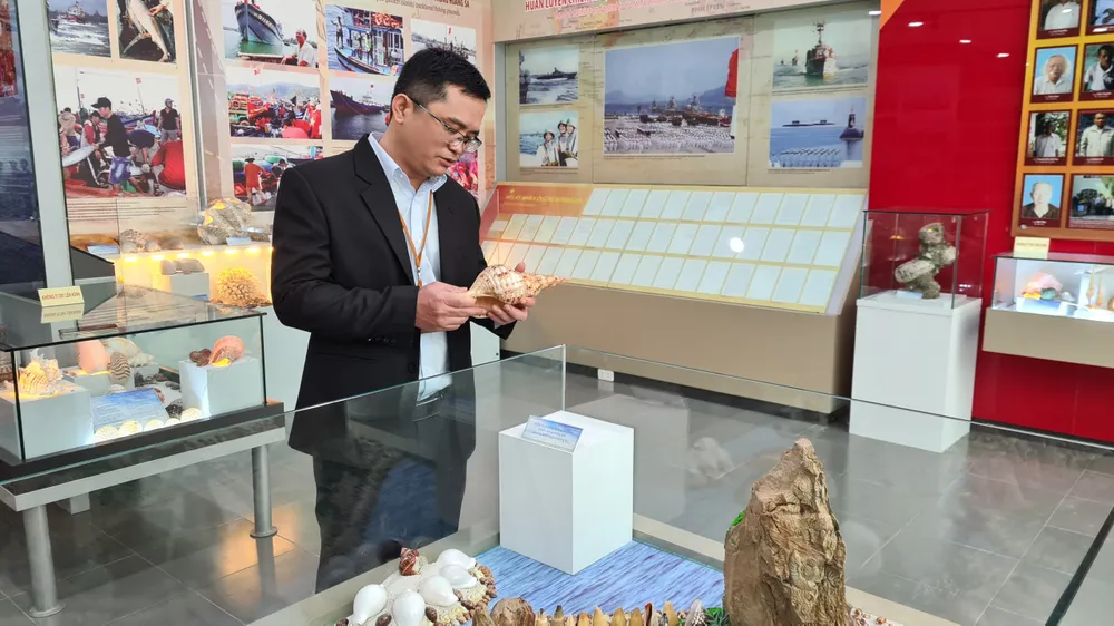 Những vỏ ốc từ quần đảo Hoàng Sa – Trường Sa giữa lòng Đà Nẵng ảnh 5