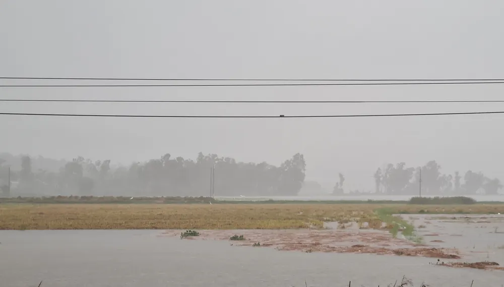 Nhiều nơi tại Quảng Nam bị ngập cục bộ do ảnh hưởng bão số 5 ảnh 5