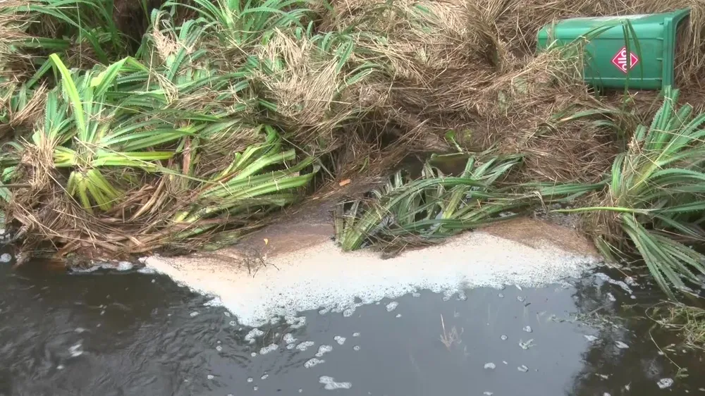 Quảng Nam: Người dân bức xúc vì nước từ bãi rác chảy ra ruộng đồng gây hôi thối  ảnh 3