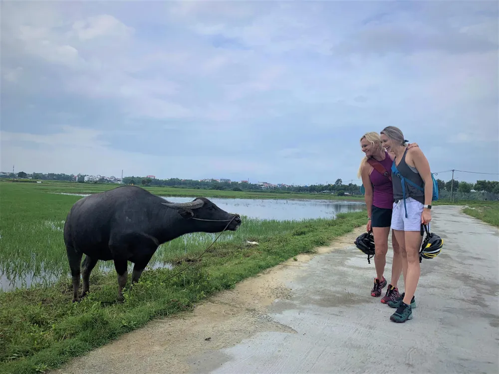 Quảng Nam: Thúc đẩy du lịch xanh để phát triển bền vững ảnh 3