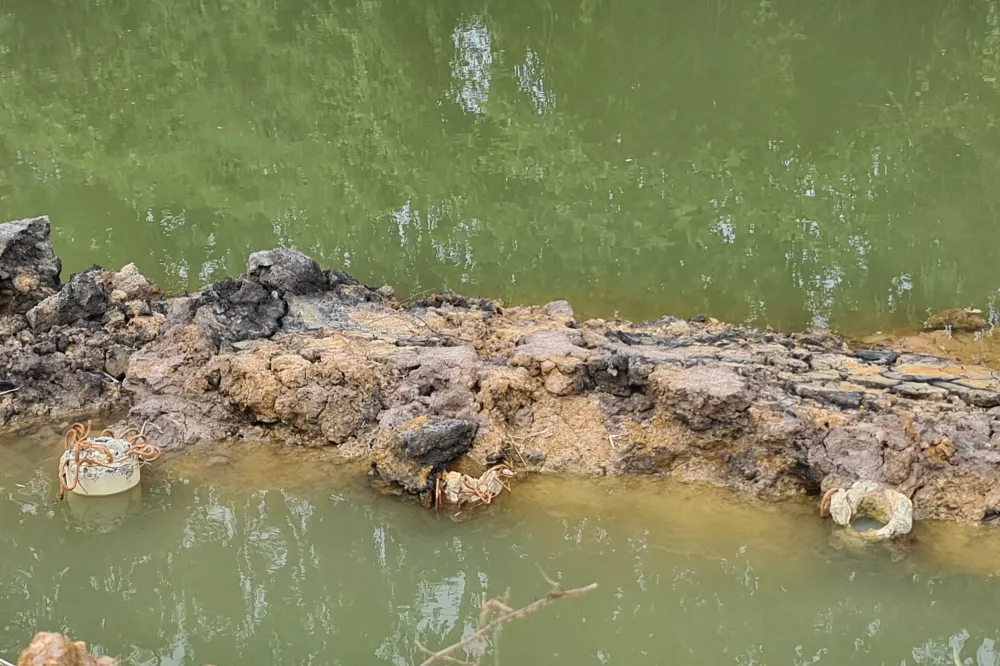 Quảng Nam: Đề nghị xử phạt doanh nghiệp lấn suối, chiếm hàng ngàn mét đất phi nông nghiệp   ảnh 2