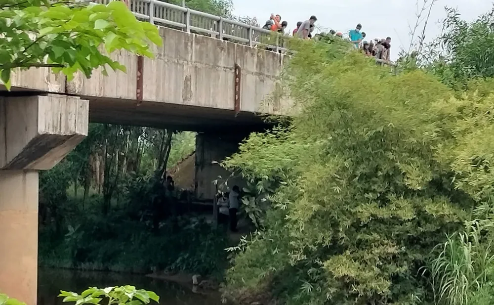 Phát hiện một thi thể cháy đen đang phân hủy  ảnh 1