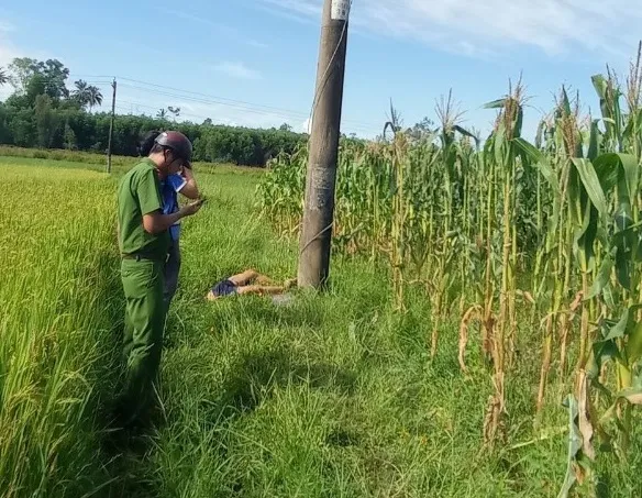 Phát hiện thanh niên tử vong cạnh trụ điện giữa cánh đồng vắng ảnh 1