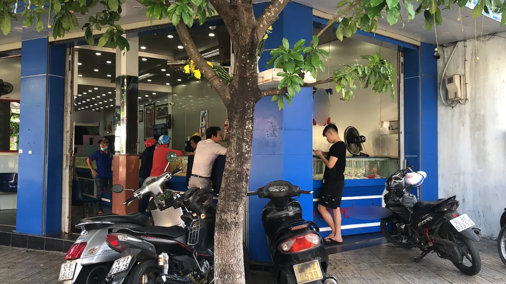 Đối tượng đập phá tiệm vàng ở Quảng Nam để cướp vừa ra tù ảnh 1