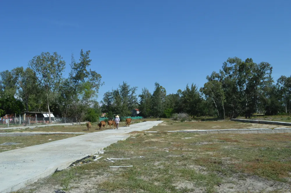 Vẽ dự án “ma” để lừa đảo hơn 18 tỷ đồng, 2 bị cáo lãnh án 21 năm tù  ảnh 2