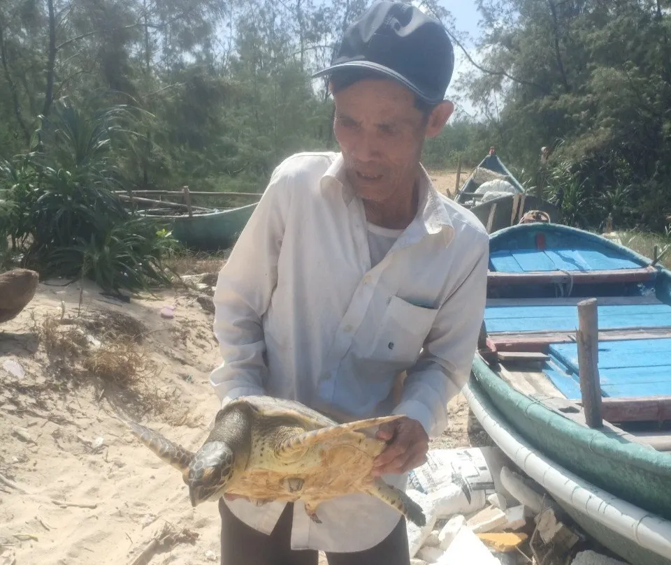 Vận động ngư dân thả một cá thể rùa về lại biển ảnh 1